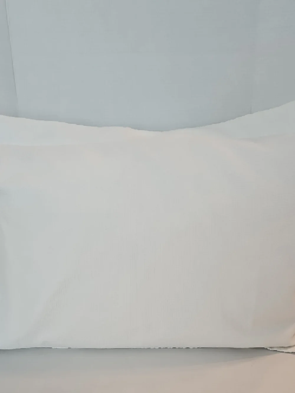 Restoration Hardware White Texture Standard Queen Pillow Sham